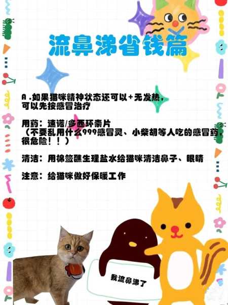 2个月大的猫打喷嚏（2个月大的猫打喷嚏怎么回事）