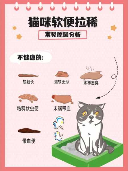 猫咪拉稀可以喂猫粮吗（猫咪拉稀的时候能吃猫粮吗）