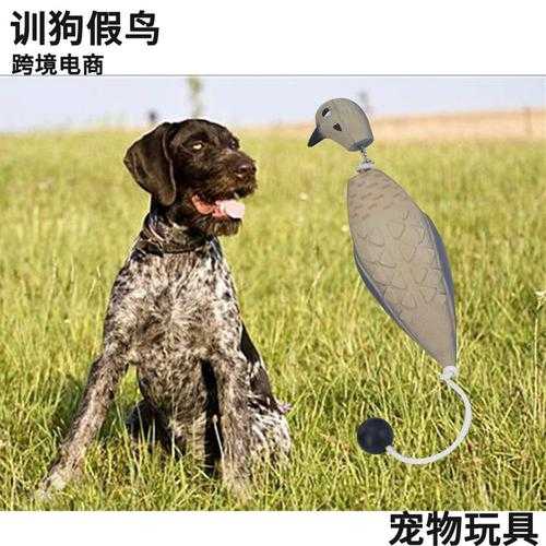 猎犬怎么训（猎犬怎么训练看灯光）