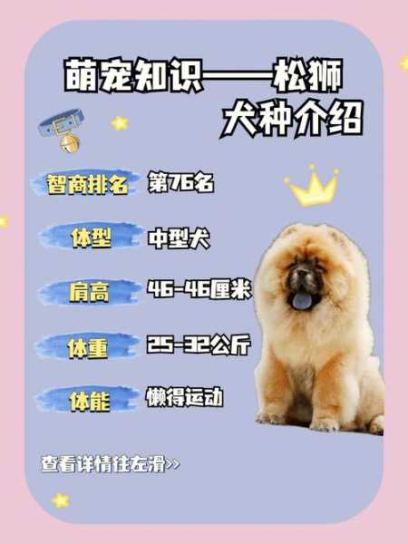 松狮犬喂养（松狮犬喂养注意事项）