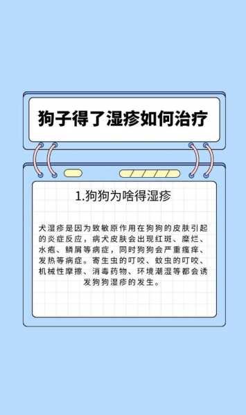 怎么预防狗狗皮肤病不会传染给人（怎样预防狗狗皮肤病传染人）