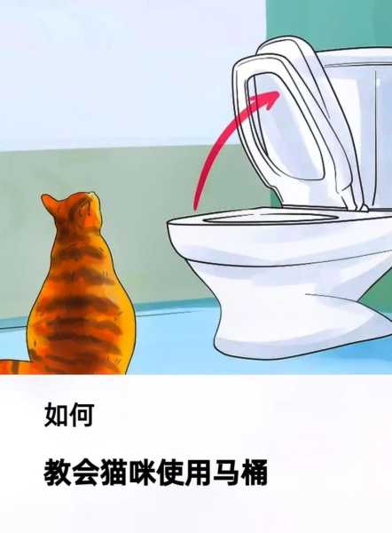 如何让猫上马桶（怎样让猫咪上马桶）