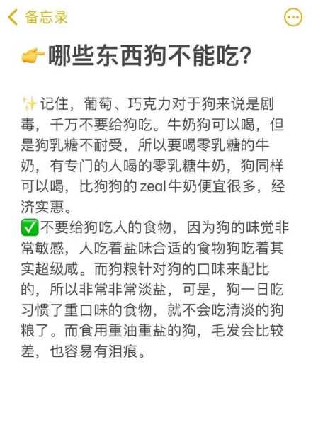 训练金毛大小便的方法（如何训练金毛大小便）