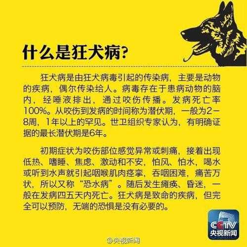 十只狗狗里面有几只有狂犬病（有多少狗有狂犬病毒）