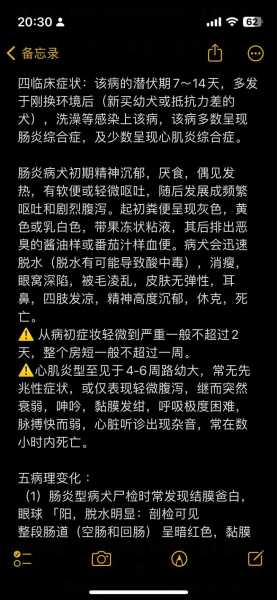 小狗细小的前期症状（狗细小最简单的土办法）