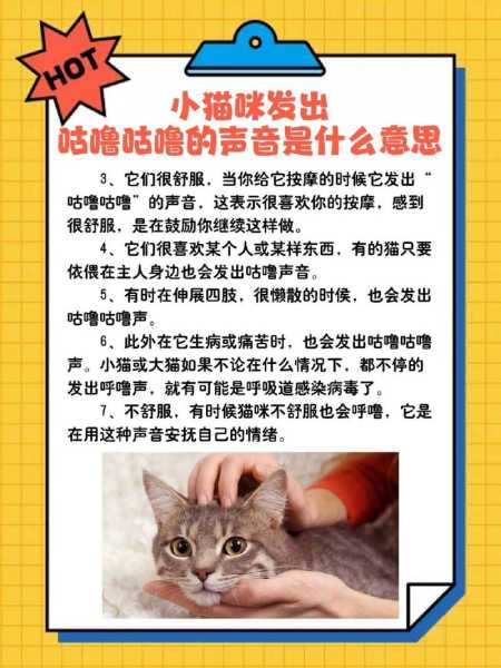 猫发出呼噜呼噜的声音是什么意思新闻（猫发出呼噜呼噜的声音是为什么?）