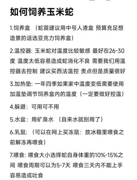 宠物蛇饲养教程注意事项（萌对白开箱宠物蛇饲养教程）