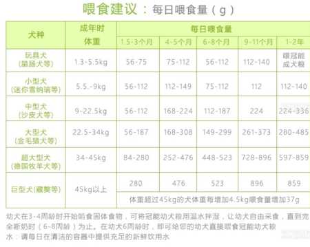 什么时间喂食狗狗比较好（什么时间给狗喂食最好）