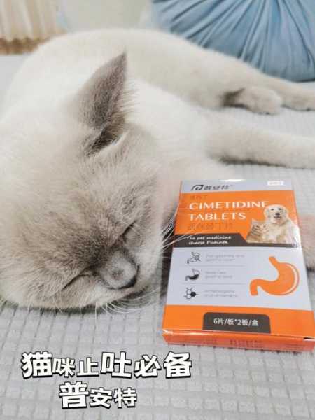 猫咪呕吐拉稀不吃东西吃什么药好（猫咪呕吐拉稀不吃东西是怎么回事）