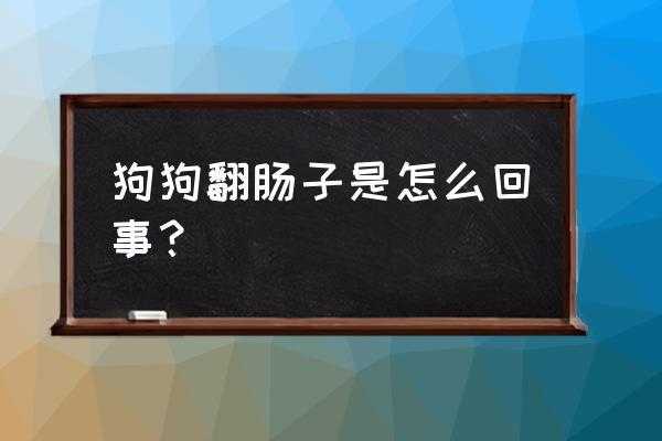 狗狗翻肠子是怎么回事（狗狗翻肠子咋回事）