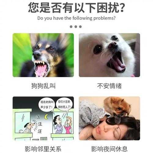 如何制止狗狗吠叫（怎么能制止狗叫）