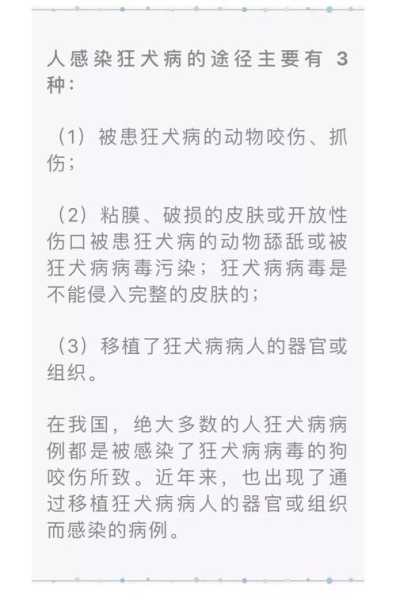 狗狗狂犬病潜伏期最长多长时间（狗狗狂犬病潜伏期多长时间才发病）