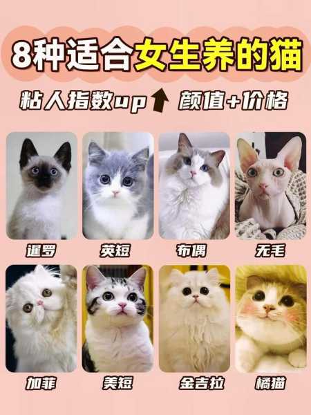 猫咪从幼猫开始养会很听话吗（猫咪从小开始养会粘人吗）