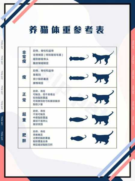 猫咪运动减肥的三大方法（猫咪如何减肥）