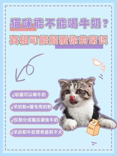 猫咪可以喝牛奶吗和桃子（猫猫可以喝牛奶吗）