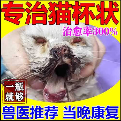 猫咪感染杯状病毒怎么引起的（猫感染了杯状病毒怎么办）