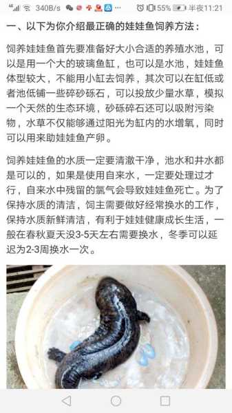 娃娃鱼给它吃什么（娃娃鱼吃什么食物请专家讲一下）