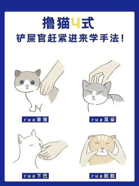 如何让猫咪很乖（怎样才能让猫咪乖一点）