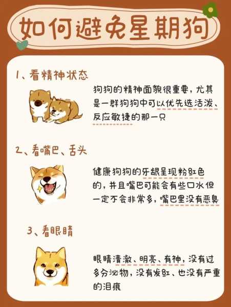 怎么分辨家狗和宠物狗（怎么区分犬）