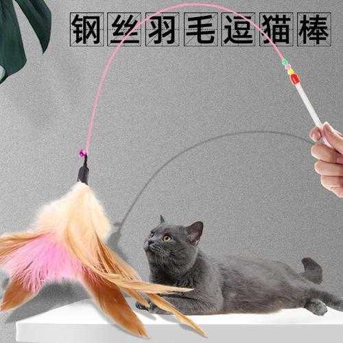 逗猫棒有什么作用（逗猫棒有什么作用和用途）