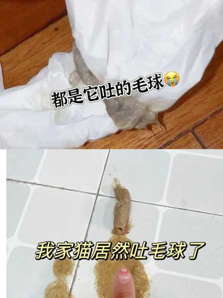 猫咪吐毛球是为什么（猫咪吐毛球为什么一次吐不出来）