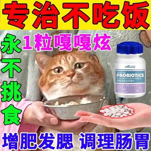 猫咪食欲不振怎么办是什么情况呢（猫咪食欲不振怎么办是什么情况呢吃什么药）