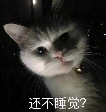 猫晚上不睡觉折腾（我家猫晚上不睡觉来回折腾）