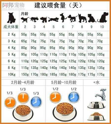 秋田犬喂养（秋田犬喂食量）