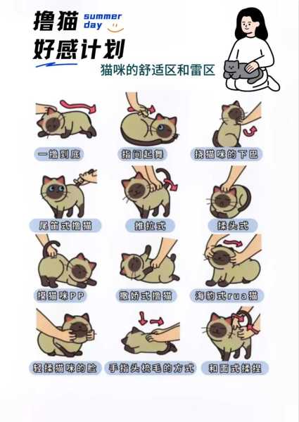 怎么让猫猫不抓我（怎么让猫咪不抓人）