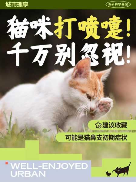 猫咪感冒了怎么办?（猫咪感冒了怎么办?猫咪打喷嚏）