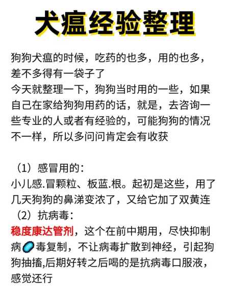 犬瘟热的治疗方法及用药（最全的犬瘟热的治疗方法 非常有效）