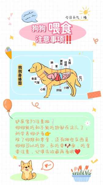 幼狗喂食注意事项（幼狗喂食注意事项和禁忌）