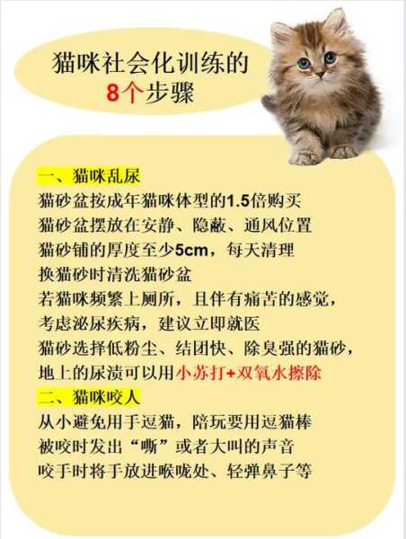 猫从小要如何培养（猫从小要如何培养体型）