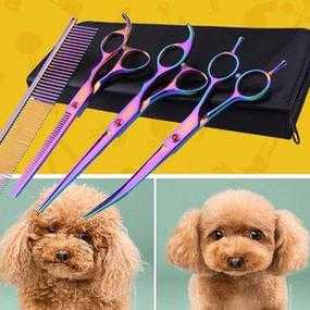 宠物犬美容的工具与用品主要有哪些（宠物美容狗狗）