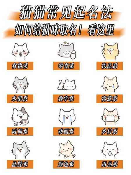 猫猫怎么让它记住自己名字（怎样才能让猫咪记住自己的名字）