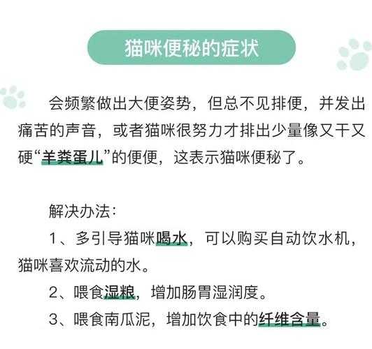 宠物为什么会便秘呢（宠物为什么会便秘呢怎么办）