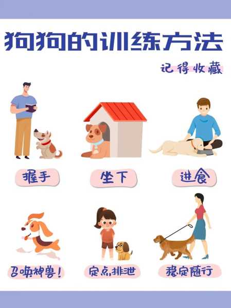 拉布拉多犬怎么训练才会听话（训犬的十句口诀）