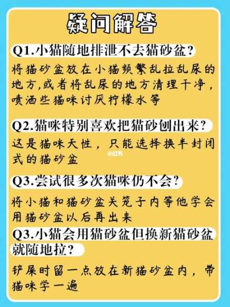 怎么训练猫咪使用猫砂呢（怎样训练猫咪使用猫砂）