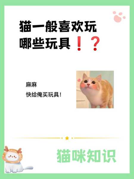 挑选猫咪玩具的原则是什么（挑选猫咪要注意什么）