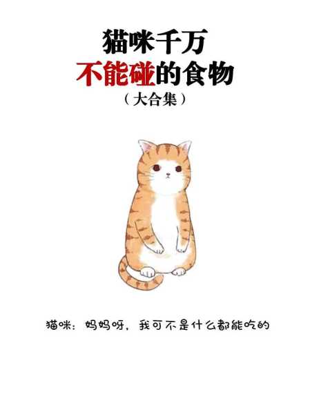 猫不可以吃什么食物（猫不可以吃哪些）