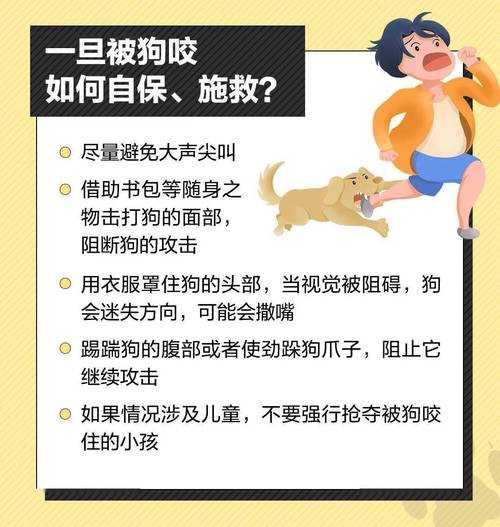 狗有攻击行为（狗有攻击人的倾向怎么办）