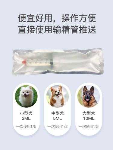 狗不孕不育能不能有效治疗（狗狗不孕的解决办法）