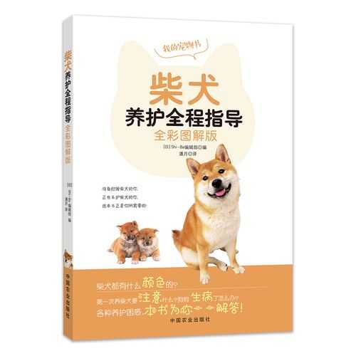 柴犬饲养的这些注意事项有哪些（柴犬养护全程指导书）