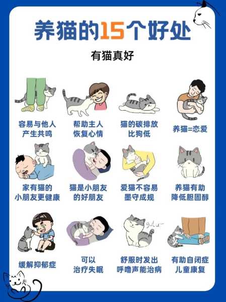 养猫必知小知识（养猫知识和注意事项）