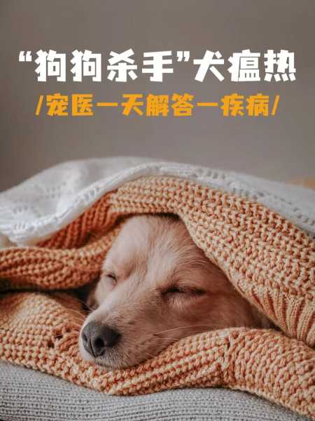 犬瘟病百科（犬瘟热百科）