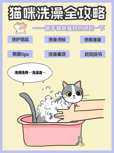 猫洗澡怎么洗啊（猫 洗澡 方法）