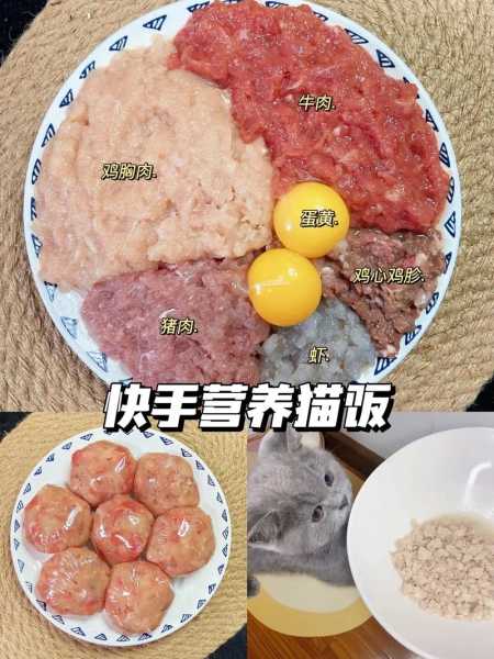 自制猫饭需要添加什么营养品（自制猫饭可以放什么调料）