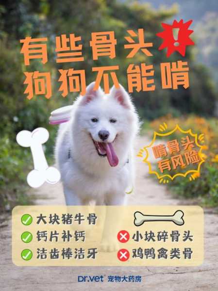 狗狗啃骨头补钙吗（狗狗啃骨头补钙吗怎么补）