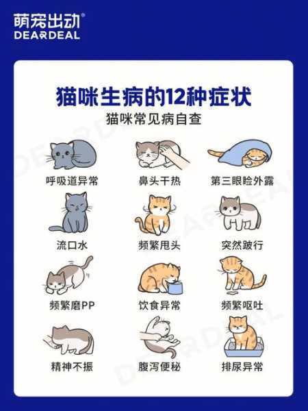 如何预防猫咪空调病毒（猫咪怎么预防冠状病毒）