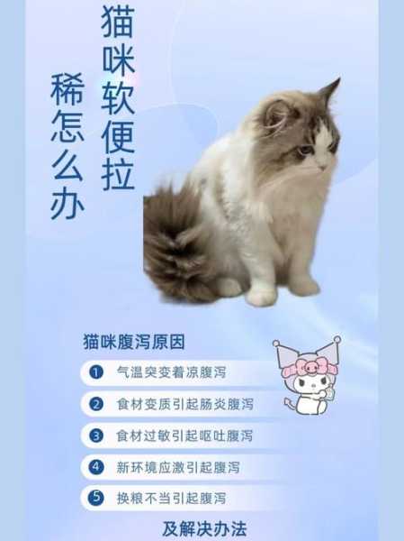 猫咪吹空调拉软便便怎么回事（猫咪吹空调着凉了怎么办）